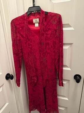ICE Petite Vintage 100% Silk Red Paisley Burnout Tie-Neck Long Sleeve Dress